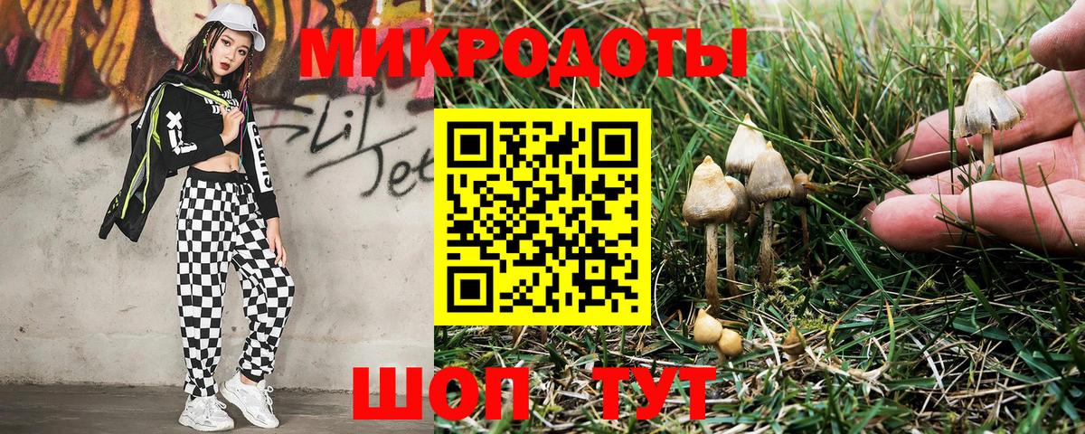 Галлюциногенные грибы Psilocybine cubensis  Вход с VPN  Сердобск 